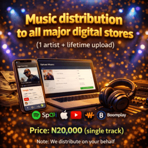 Music Distribution for 1 artist (Single track, Lifetime)