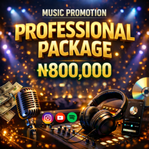 Music Promotion: Professional Package